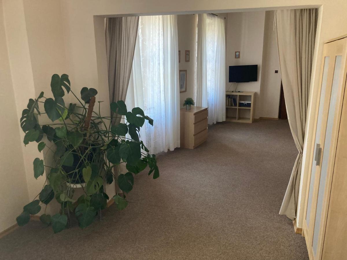 Penzion A Restaurace Modra Ruze Tabor Zewnętrze zdjęcie